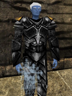File:Guard Live.jpg