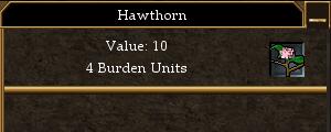 File:Hawthorn.jpg