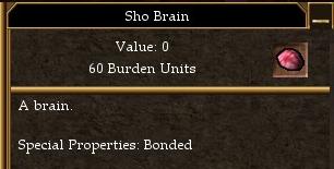 File:Sho Brain.jpg