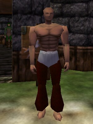 File:Tailoring Kit 2 Live.jpg