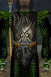File:The Creeping Blight Tabard Live.jpg