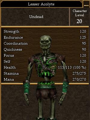 File:Lesser Acolyte (Level 20).jpg