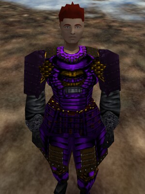 File:Lesser Koujia Armor of Lightning Live.jpg