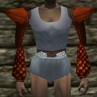 File:Scalemail Sleeves Live.jpg