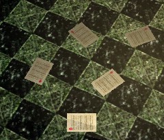 File:Clue Cards Live.jpg