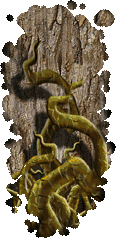 File:Old Ones.png