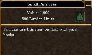 File:Small Pine Tree.jpg
