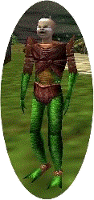 File:TCCArwic2.gif