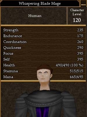 File:Whispering Blade Mage.jpg