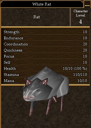 File:White Rat.jpg