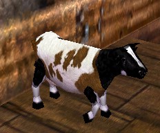 File:Pack Cow Live.jpg