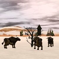 File:19.9S, 1.6W - Auroch Herd Live.jpg