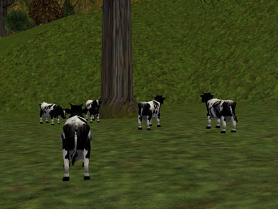 File:38.2S, 68.4E - Farmer's Herd Live.jpg