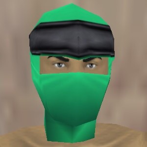 File:Reinforced Shou-jen Shozoku Mask Minalim Live.jpg