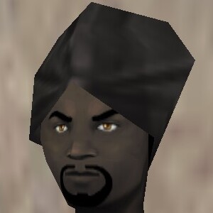 File:Turban Thananim Live.jpg