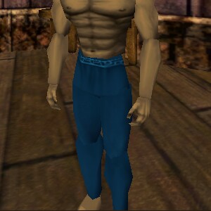 File:Amateur Explorer Pants Live.jpg