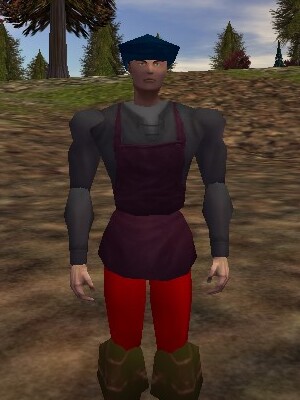 File:Peddler (53.7N, 24.2E) Live.jpg