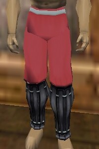 File:Reinforced Shou-jen Shozoku Trousers Fail Live.jpg
