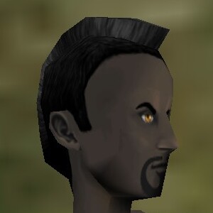 File:Haircut Dark 12 Texture Live.jpg