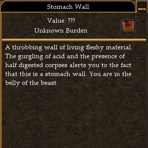 File:Stomach Wall.jpg