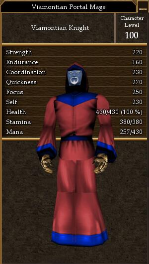 File:Viamontian Portal Mage.jpg