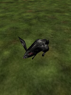 File:Black Rabbit Live.jpg