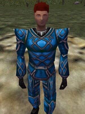 File:Celdon Armor of Frost Live.jpg