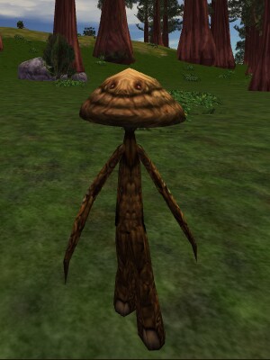 File:Morel Thrungus Live.jpg