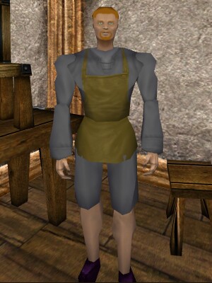 File:Steiner's Apprentice Craftsman Live.jpg