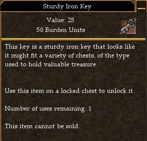 File:Sturdy Iron Key.jpg