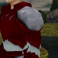 File:Shadow Pauldrons (Shrouded Soul) Live.jpg