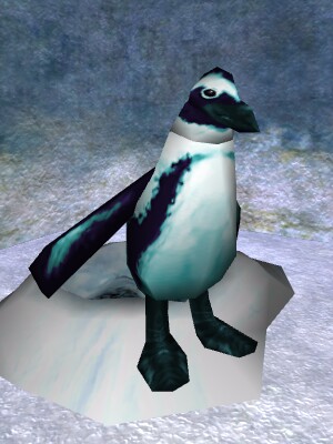 File:Great Cave Penguin Live.jpg