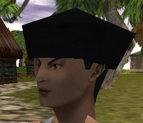 File:Cap (Store) Rithwic Grey Live.jpg
