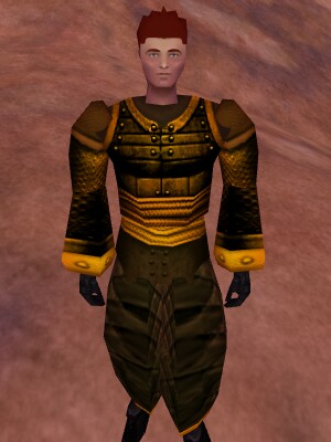 File:Greater Amuli Shadow Armor (Post-Patch) Live.jpg