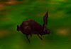 File:Img rabbit.jpg