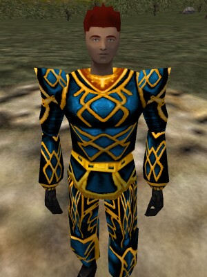 File:Lesser Celdon Armor of Frost Live.jpg