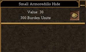 File:Small Armoredillo Hide.jpg