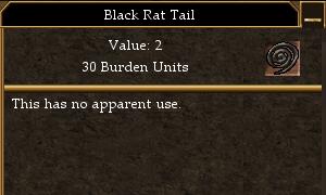 File:Black Rat Tail.jpg