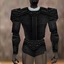 File:Armoredillo Hide Coat Thananim Live.jpg