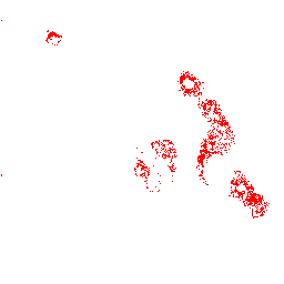 File:Spawn Map Blood Shreth.png