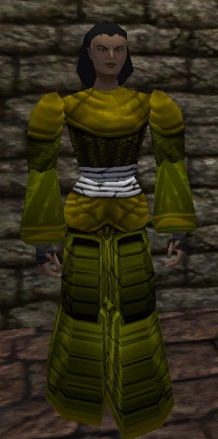 File:Sturdy Reedshark Robe Berimphur Live.jpg
