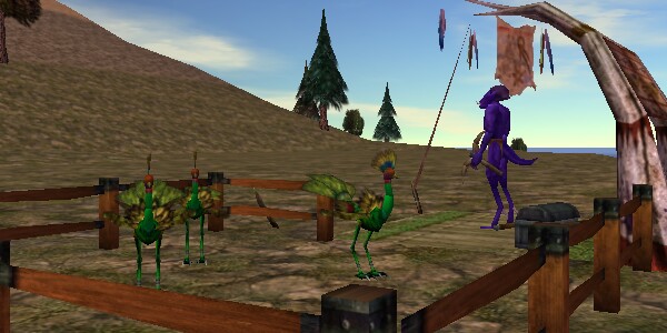 File:24.0N, 72.0W - Aun Tahuirea's Camp Live 2.jpg