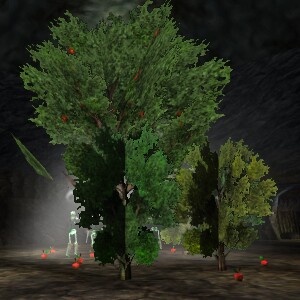 File:Lost Garden Ruins Live 5.jpg
