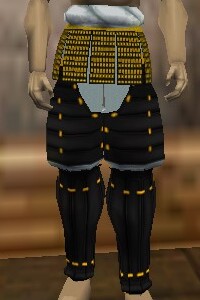 File:O-Yoroi Leggings Thananim Live.jpg