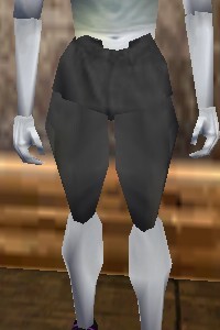 File:Aphus Wading Pants Thananim Live.jpg