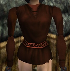 File:Shirt (Dark Brown) Live.jpg