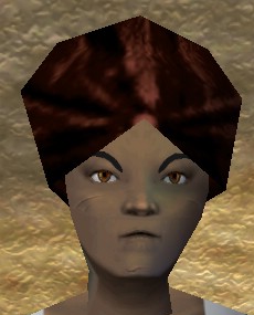 File:Turban (Store) Tufa Brown Live.jpg