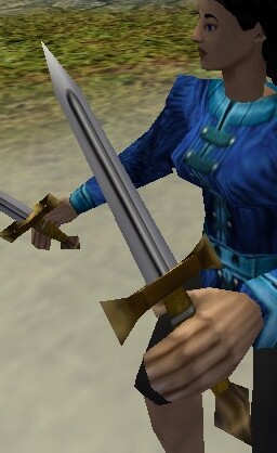 File:Training Dirk Live.jpg