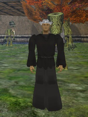 File:Training Master Live.jpg