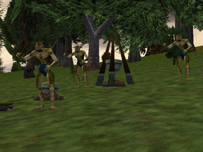 File:43.9N, 25.1E - Banderling Camp Live.jpg